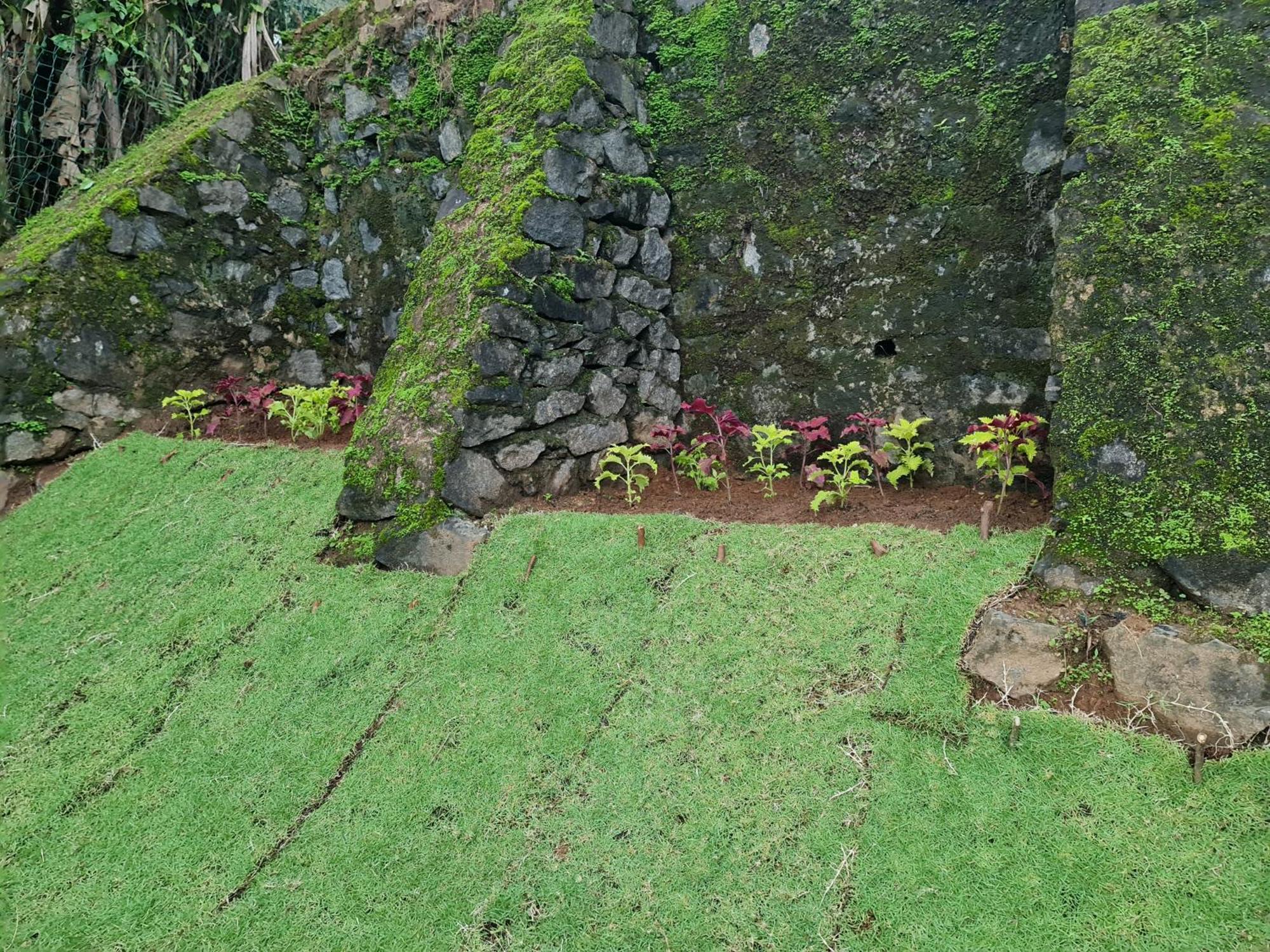 Hello Kandy Homestay Екстериор снимка