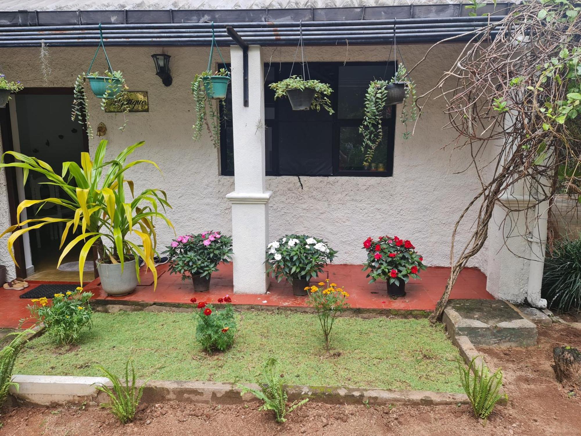 Hello Kandy Homestay Екстериор снимка
